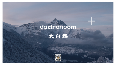 daziran.com